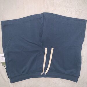 Target Men's Blue Shorts